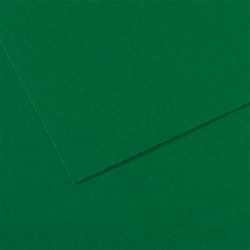 FBI FEUILLE DESSIN 160G VT FONC FDE15360