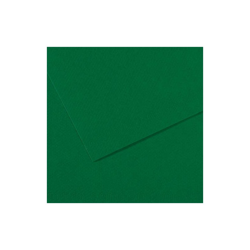 FBI FEUILLE DESSIN 160G VT FONC FDE15360