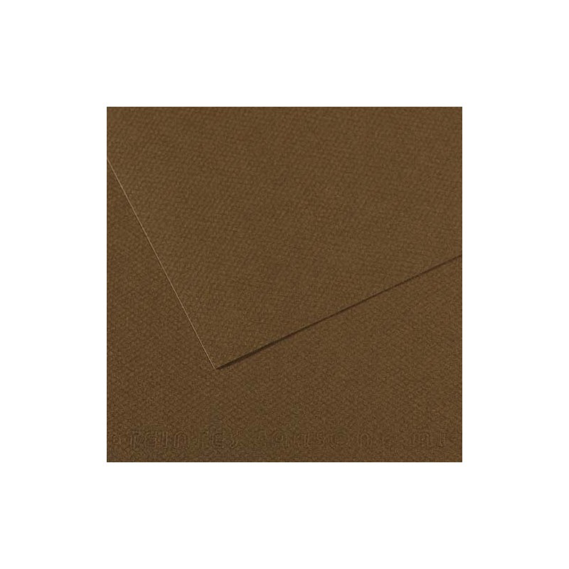 FBI FEUILLE DESSIN 160G CAFE FDE15336