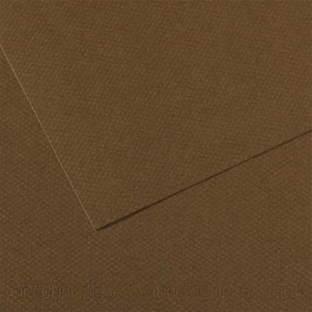 FBI FEUILLE DESSIN 160G CAFE FDE15336