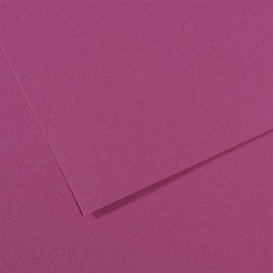 FBI FEUILLE DESSIN 160G VIO FDE15350
