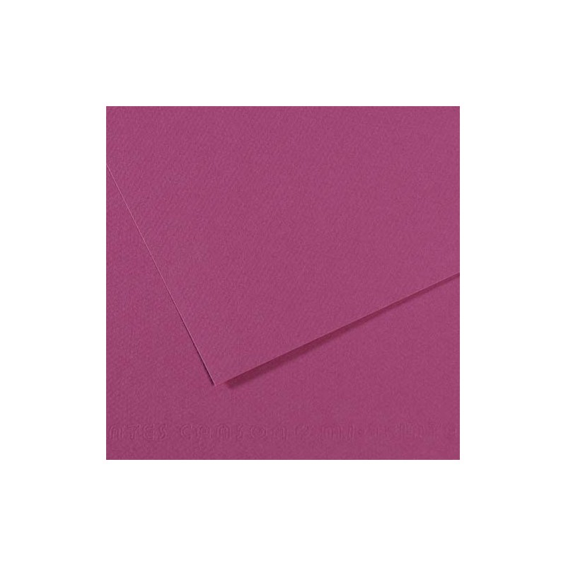 FBI FEUILLE DESSIN 160G VIO FDE15350