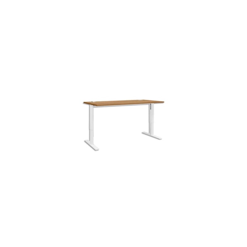 GAU BURO PIED I REGL YES L140 MER U24214 GAU BURO PIED I REGL YES L140 MER U24214