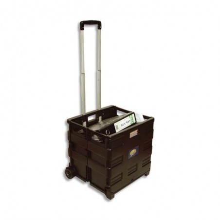 VIS CASIER PLIABLE POLYPRO N TROLLEY GP