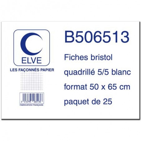 ELV S/25 FICHE BRISTOL 50X65 5X5 B506513