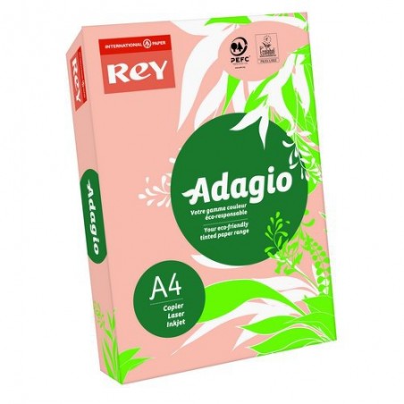 INA R/500F ADAG A4 80G NECTAR IN 8001641