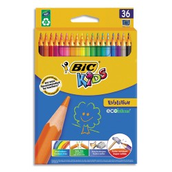 BIC P/36 CRAY EVOLUTION ASS 950526
