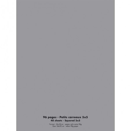 1ER CAH 90G 24X32 96P 5X5 COUV PP GRIS