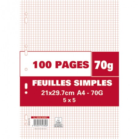 1ER SACHET/100P FEUILLET MOBILE 70G 5X5